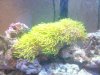 2009-11-22_19[1].18.45.jpg