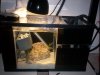 Sump-Fuge 011.jpg