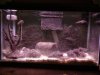 DSC01007.JPG