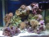 8G Nano Cube.jpg