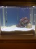 8G Nano Cube #1.jpg