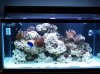 100_2063.jpg
