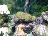 fishtank5.jpg