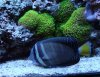 DSC03077.jpg