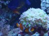 DSC03072.jpg