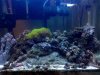 2009-11-22_19.20.10.jpg