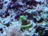 DSC03081.jpg