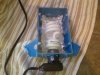 21752d1259179101-my-14g-biocube-finally-coming-together-sspx0080.jpg