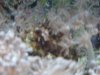 DSCN1311.JPG