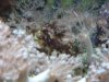 DSCN1312.JPG