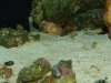 DSC03804.jpg