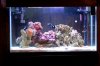 whole_tank.jpg