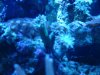 DSC02654.jpg