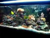 FTS01.jpg