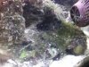 Photo00z.jpg
