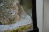 DSC_1085.jpg