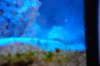 DSC_1074.jpg