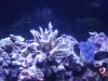 DSCF1807a.JPG