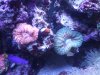 DSCF1810a.JPG
