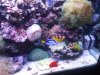 DSCF1812a.JPG