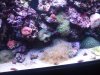 DSCF1813a.JPG