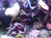 DSCF1819.aJPG.JPG