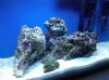 IMG00047-20091211-1528.jpg
