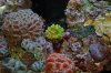 DSC_0114.jpg