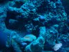 Fish tank 010.jpg