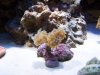 100_2226.jpg