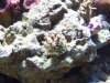 100_2227.jpg