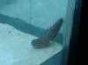 DSC05168.jpg