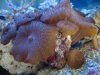 DSC02215.jpg