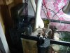 Dec-15-2009_0861.jpg