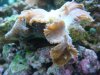 Dec-15-2009_0841.jpg