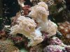 Dec-15-2009_0842.jpg