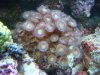 Dec-15-2009_0843.jpg