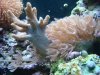 Dec-15-2009_0847.jpg