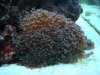 Dec-15-2009_0850.jpg