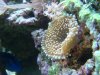 Dec-15-2009_0855.jpg