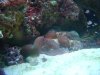 Dec-15-2009_0856.jpg