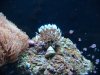 Dec-15-2009_0857.jpg