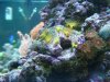 Dec-15-2009_0858.jpg