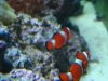Dec-23-2009_0871.jpg