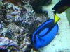 Dec-23-2009_0874.jpg