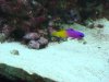Dec-23-2009_0878.jpg
