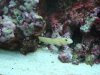 Dec-23-2009_0879.jpg