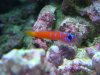 Dec-23-2009_0883.jpg
