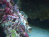 Dec-23-2009_0887.jpg