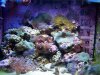 fts.jpg